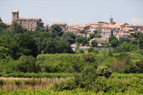 Antiquaire-Brocanteur Entre-Vignes