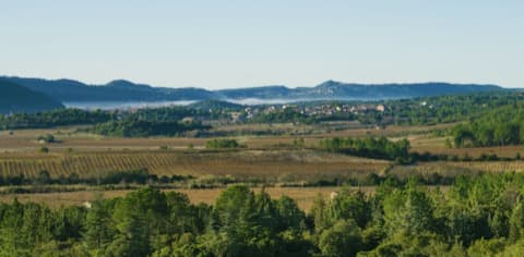 Antiquaire-Brocanteur Prades-sur-Vernazobre
