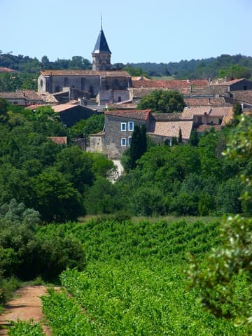 Antiquaire-Brocanteur Saint-Drézéry