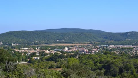 Antiquaire-Brocanteur Saint-Mathieu-de-Tréviers